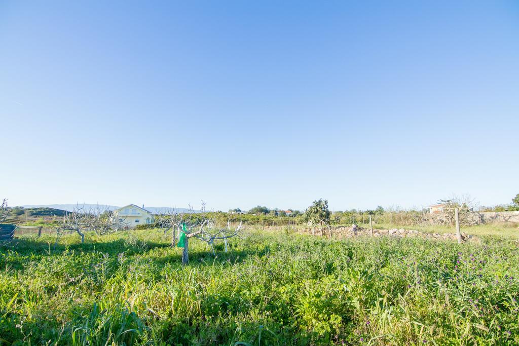 Akivillas Silves Relax Eksteriør billede